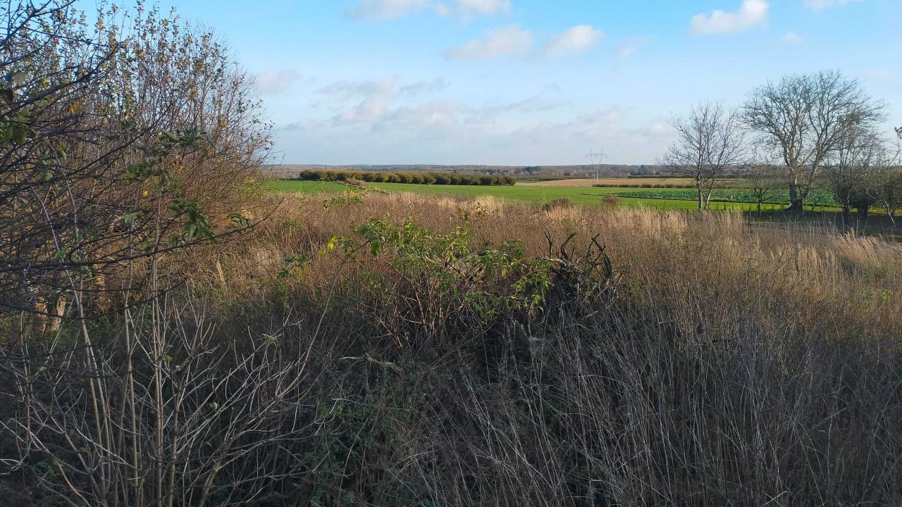 dom wolnostojący Częstoborowice. Zdjęcie 6