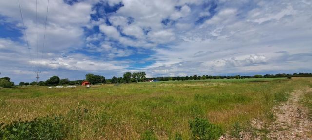 Działka budowlana Czernin. Zdjęcie 4