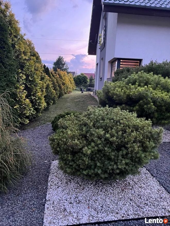 dom wolnostojący, 4 pokoje Stary Żagań. Zdjęcie 3