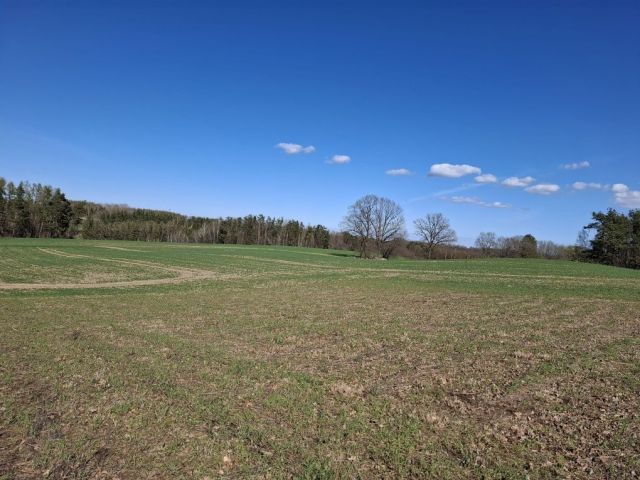 Działka budowlana Kłosowo. Zdjęcie 1