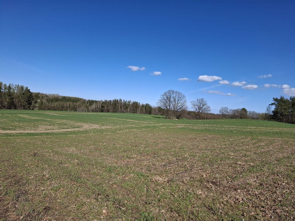 Działka budowlana Kłosowo. Zdjęcie 1