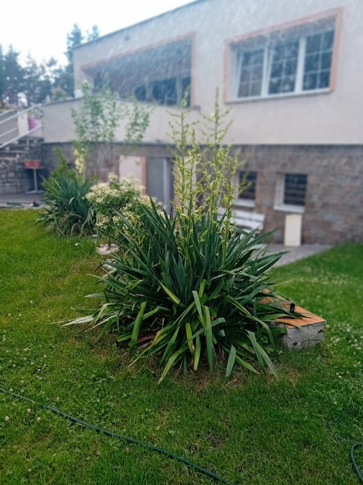 inny, 6 pokoi Dolna Grupa, ul. Bukowa. Zdjęcie 7