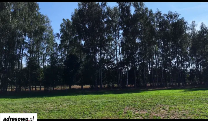 Działka budowlana Skórzec, ul. Cmentarna