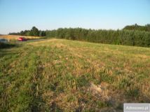 Działka budowlana Wielopole Skrzyńskie. Zdjęcie 3