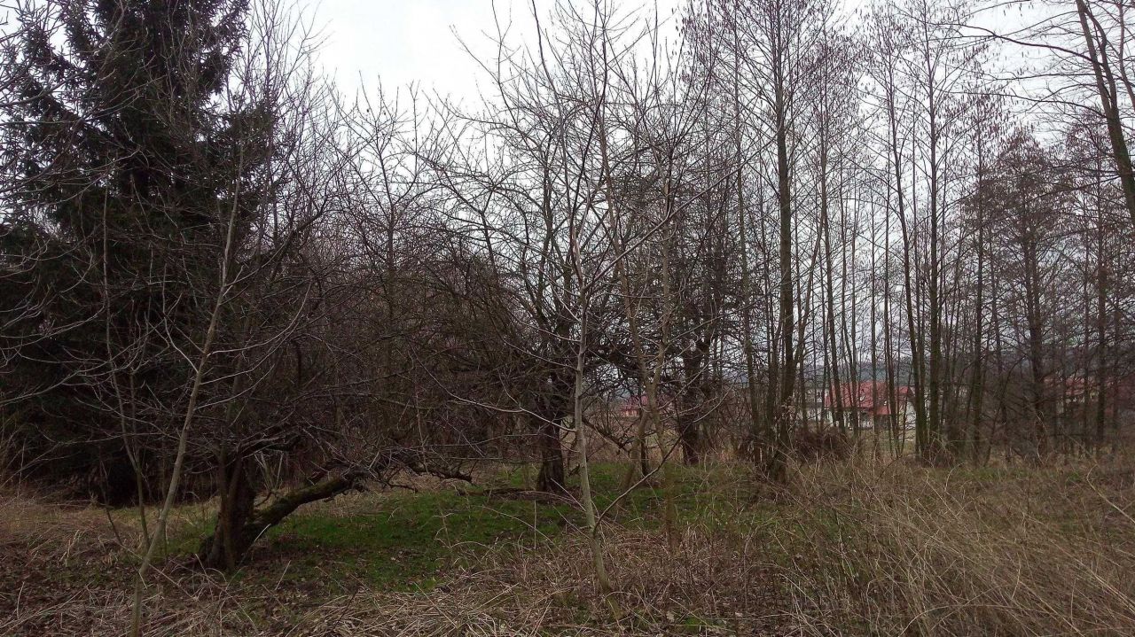 Działka budowlana Wojnicz. Zdjęcie 5