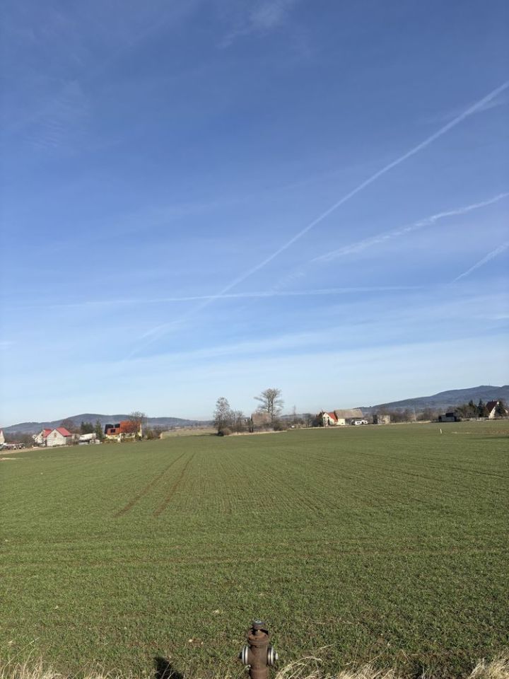 Działka budowlana Uciechów. Zdjęcie 7