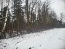 Działka budowlana Dąbrowa Górnicza Sikorka, ul. Czajkowa. Zdjęcie 2