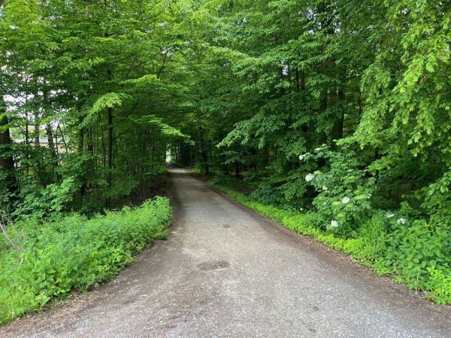 dom letniskowy, 2 pokoje Wola Cyrusowa-Kolonia. Zdjęcie 10