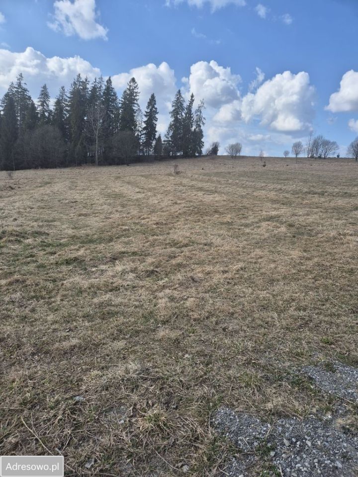 Działka rolna Podsarnie. Zdjęcie 5