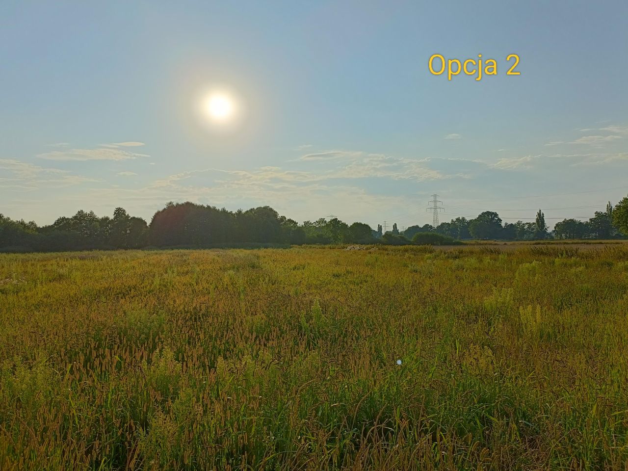 Działka rolna Drogomyśl Dębina, Dębina, Słoneczna. Zdjęcie 12