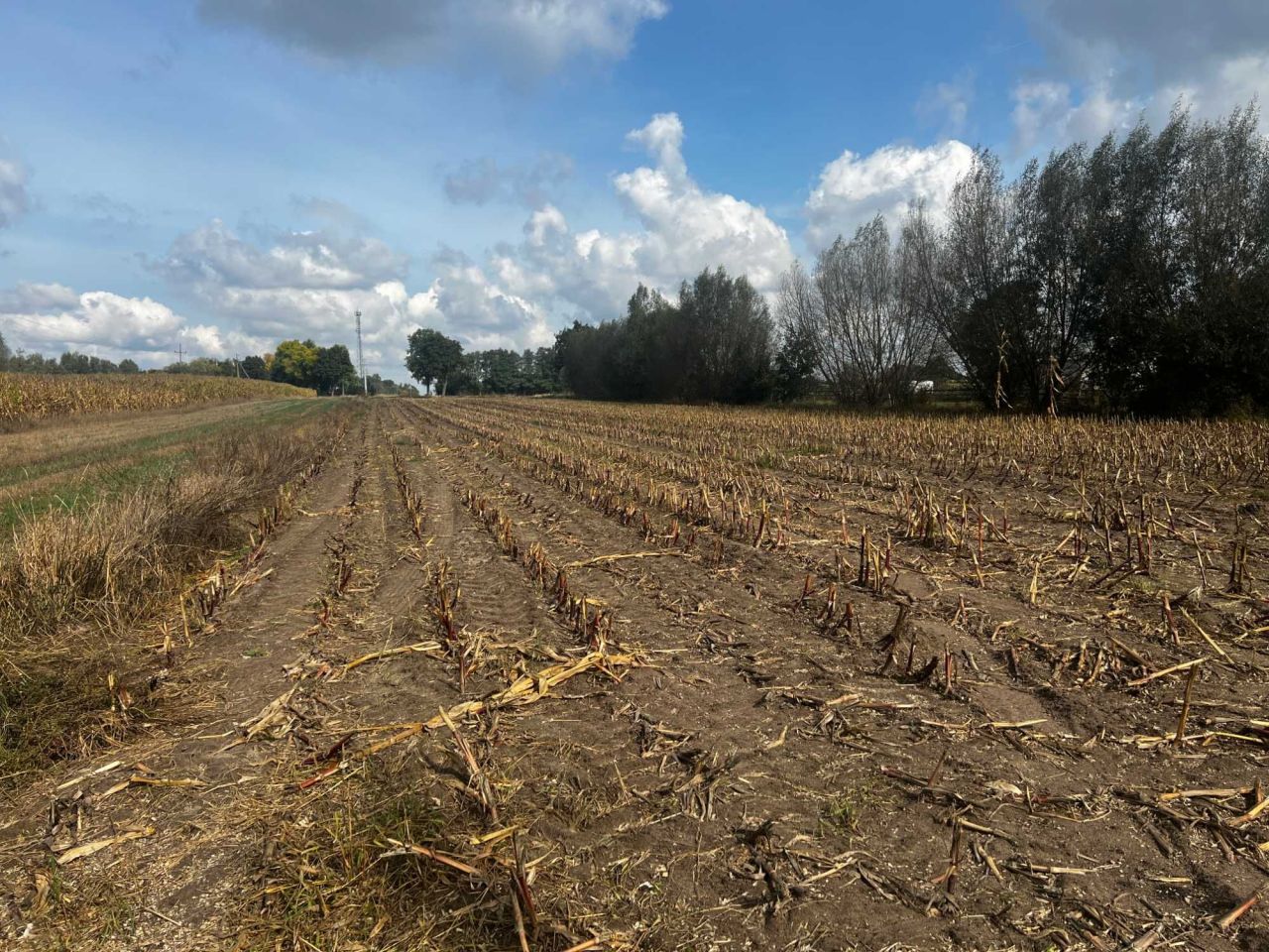 Działka budowlana Łęg Nurski. Zdjęcie 3