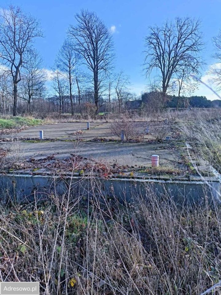 Działka budowlana Perkowo. Zdjęcie 7