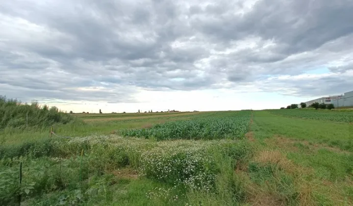 Działka inwestycyjna Przyszowice