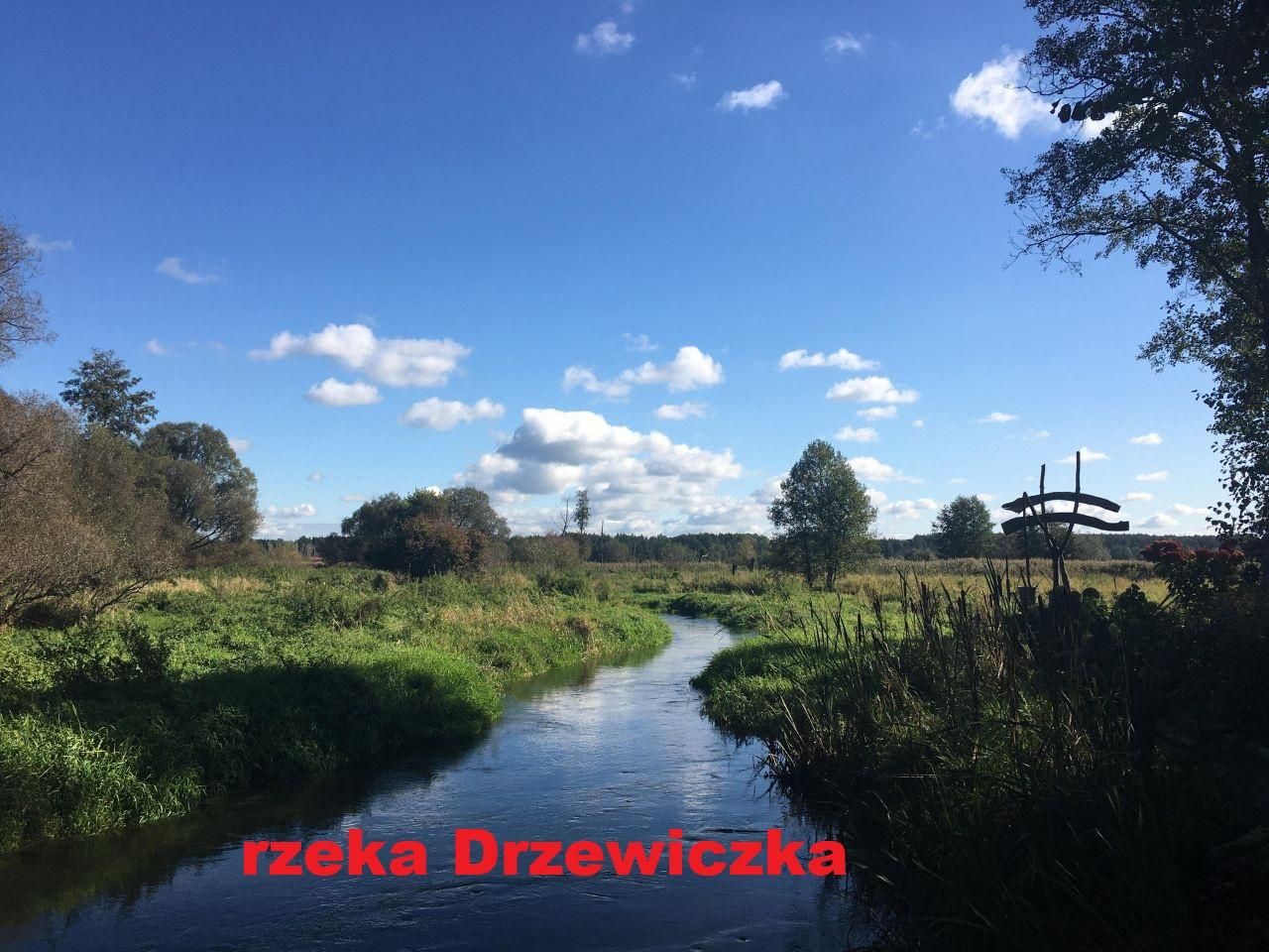 Działka rolna Żdżarki. Zdjęcie 9