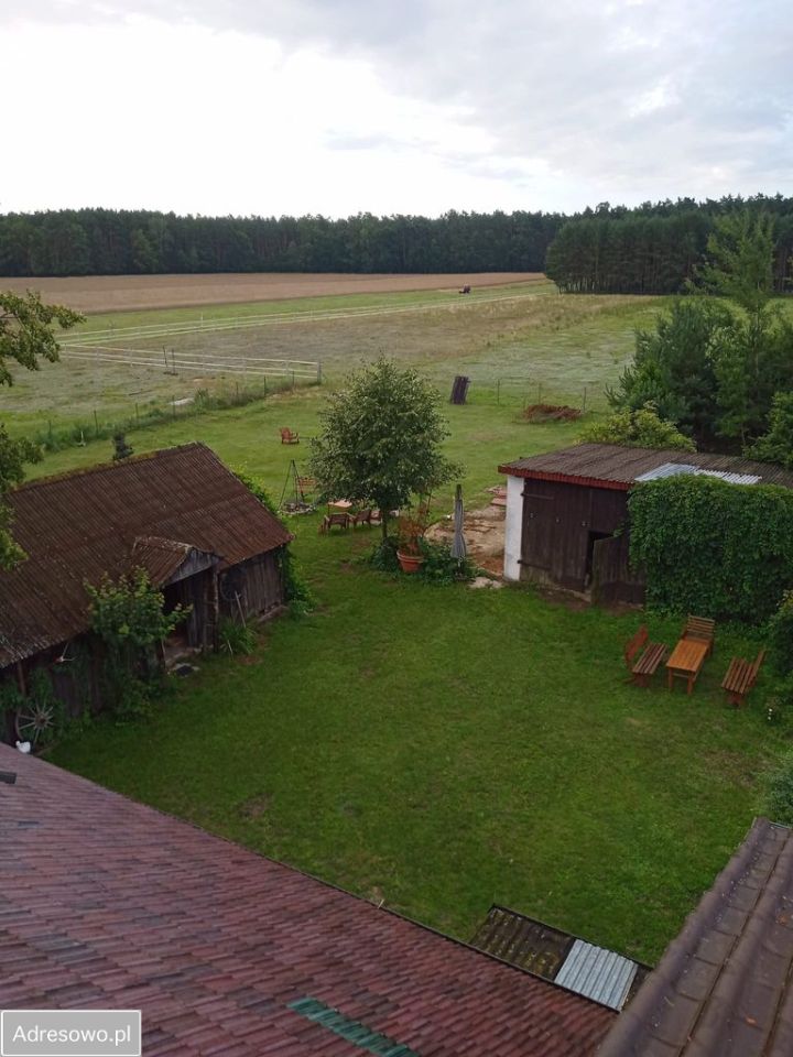 gospodarstwo, 11 pokoi Łowoszów, ul. Leśna. Zdjęcie 13