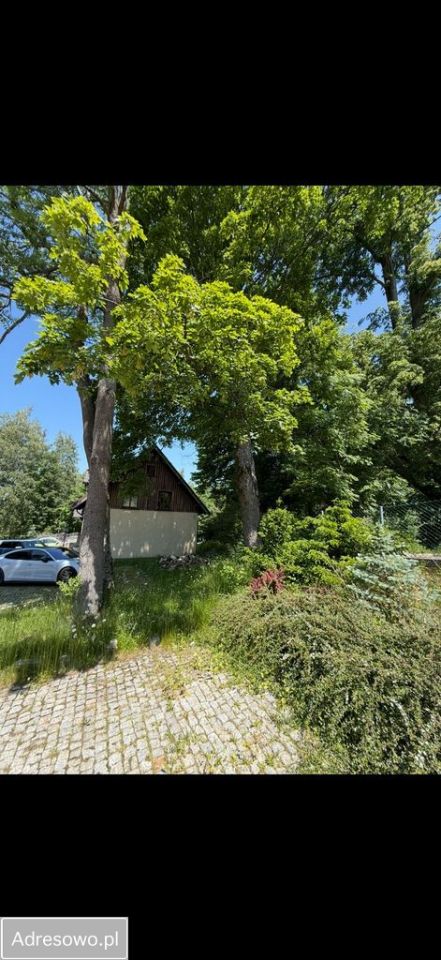 Nieruchomość komercyjna Karpacz. Zdjęcie 10