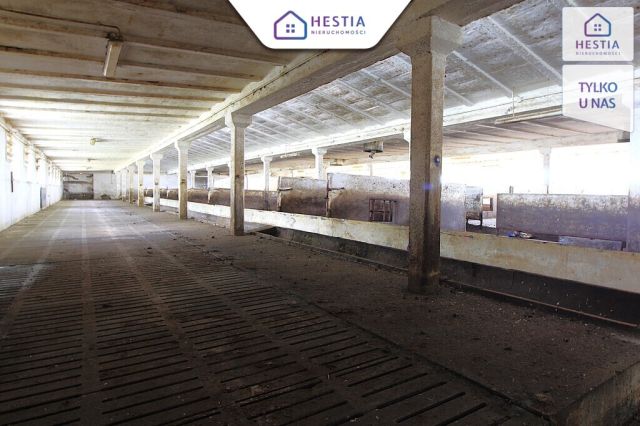 Hala/magazyn Strzyżno. Zdjęcie 6