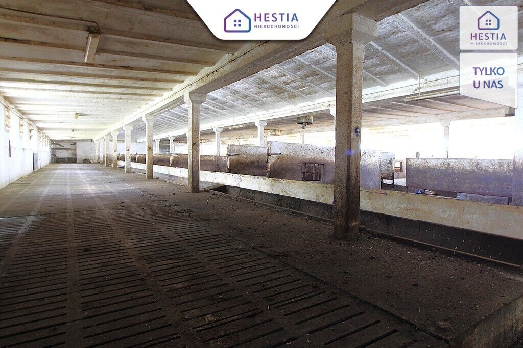 Hala/magazyn Strzyżno. Zdjęcie 6