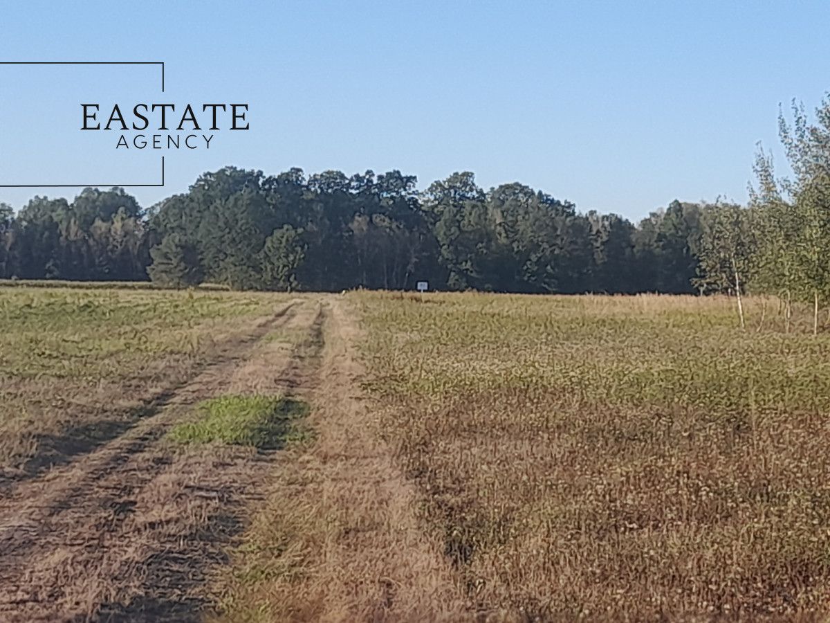 Działka budowlana Prażmów. Zdjęcie 2