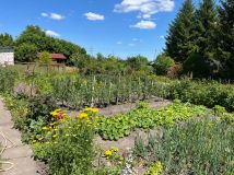 Działka rod Chełm. Zdjęcie 3