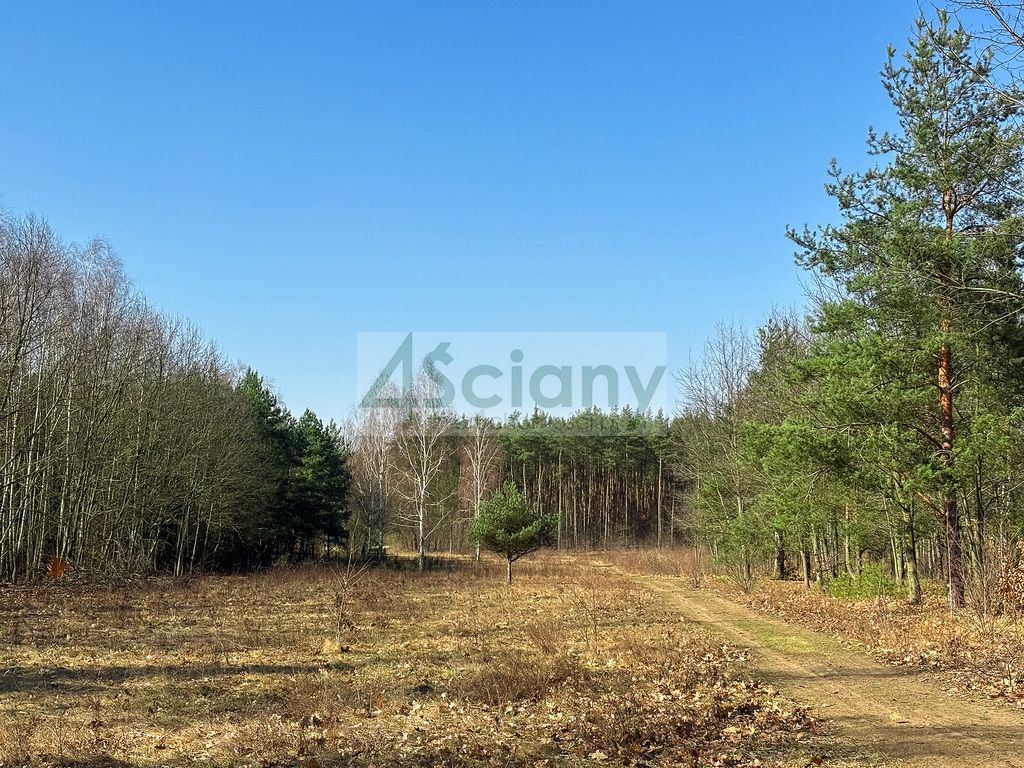 Działka budowlana Ojrzanów. Zdjęcie 3