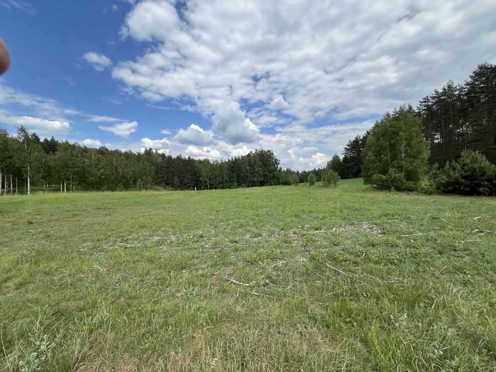 Działka rolna Lipowo Kurkowskie. Zdjęcie 1