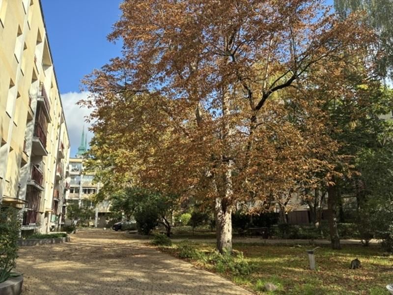 Mieszkanie 1-pokojowe Warszawa Śródmieście, ul. Długa. Zdjęcie 9