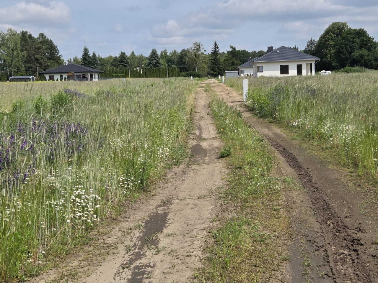 Działka budowlana Goławice Pierwsze, ul. Malinowa. Zdjęcie 7