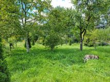 Działka rod Łódź Śródmieście. Zdjęcie 3