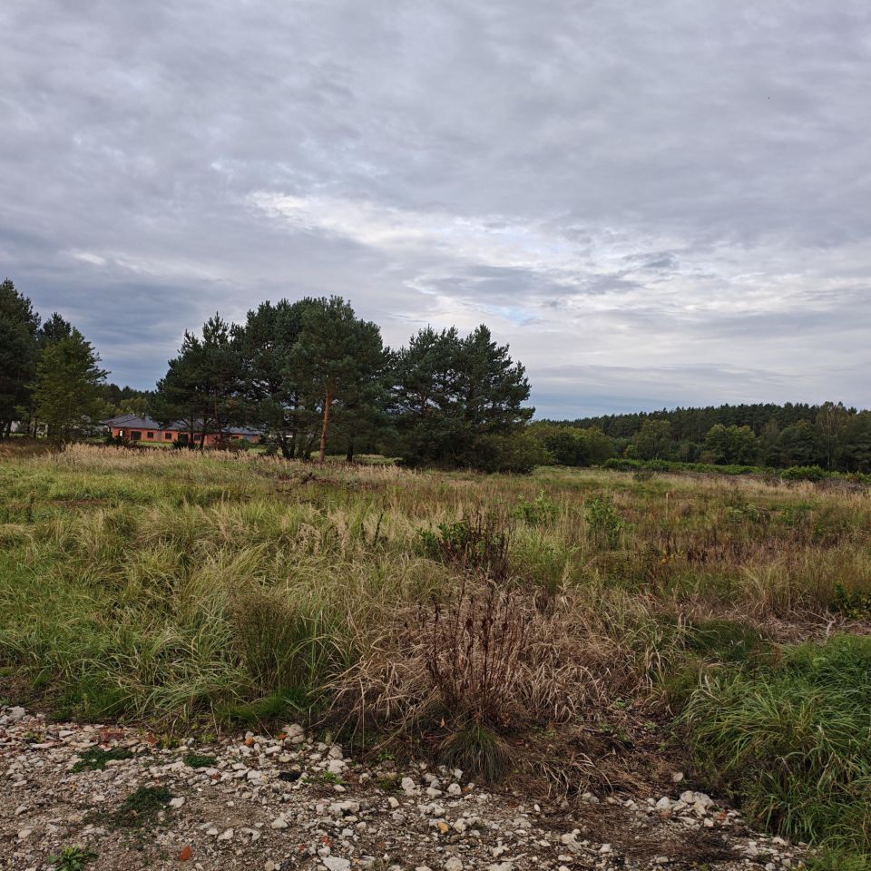 Działka rolno-budowlana Zielona Góra Łężyca, ul. Polna