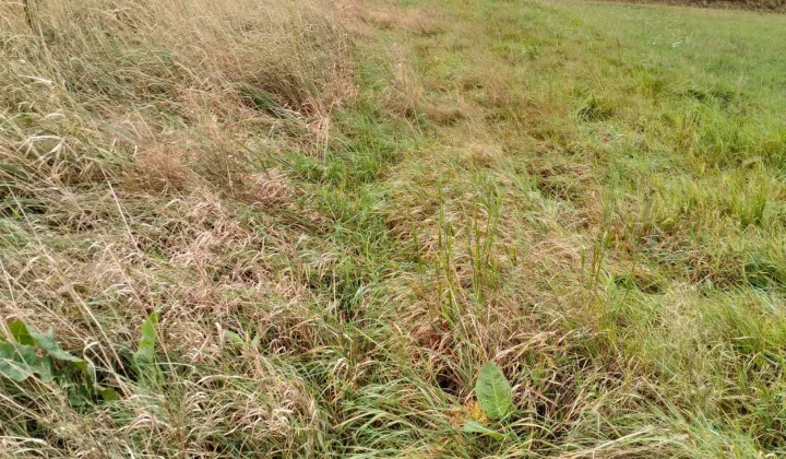 Działka budowlana Łęki Dolne