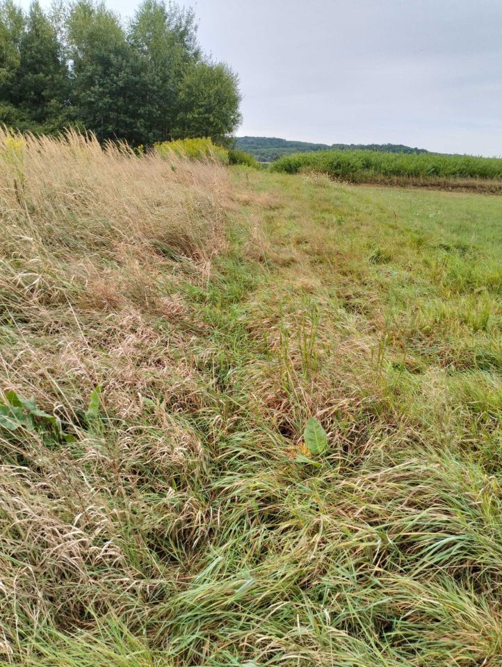 Działka budowlana Łęki Dolne