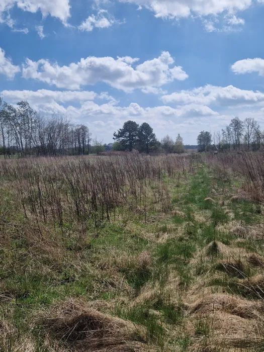 Działka budowlana Chełmce. Zdjęcie 2