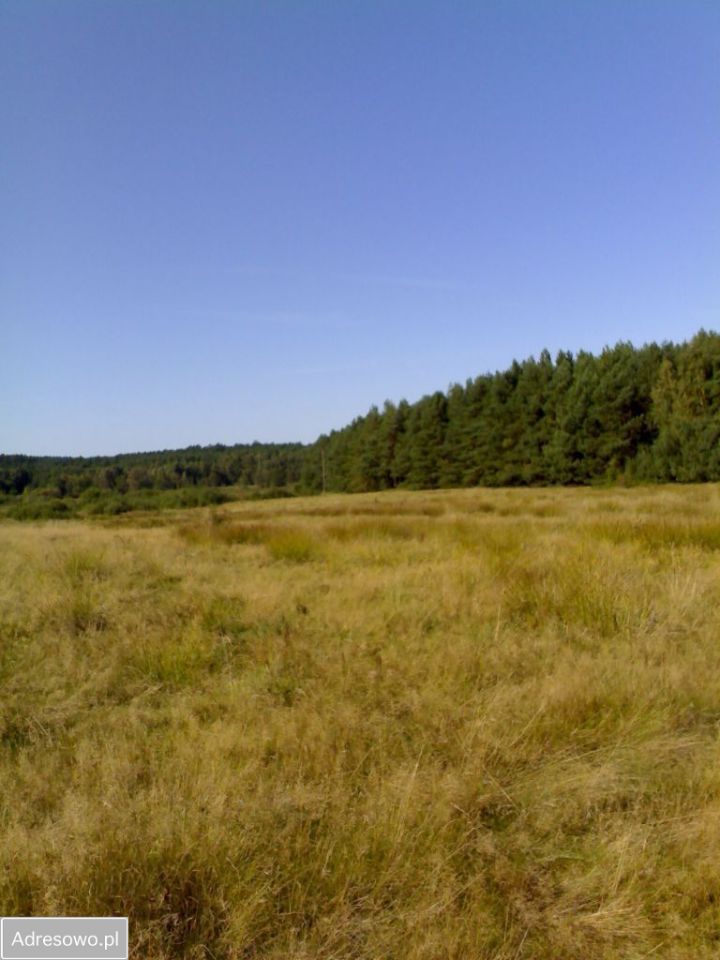 Działka budowlana Kołczewo. Zdjęcie 4