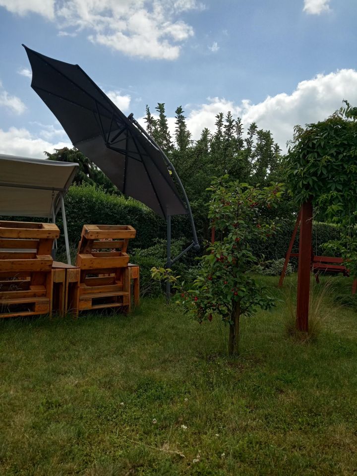 Działka rod Osiek. Zdjęcie 9