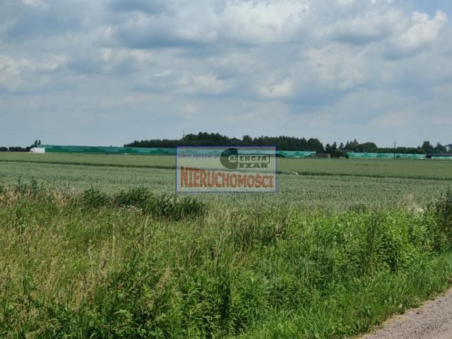 Działka rolna Brzozówka. Zdjęcie 4