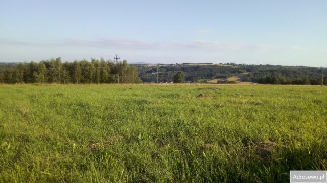 Działka budowlana Rzepiennik Strzyżewski. Zdjęcie 1