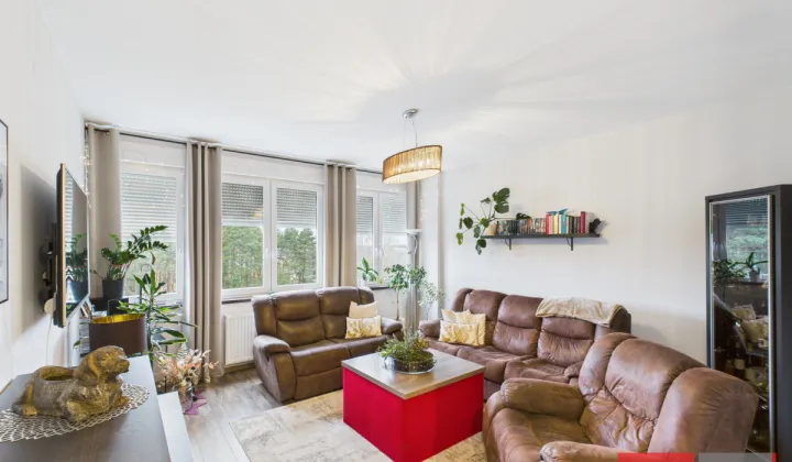 Mieszkanie 4-pokojowe Czerwieńsk, ul. Składowa