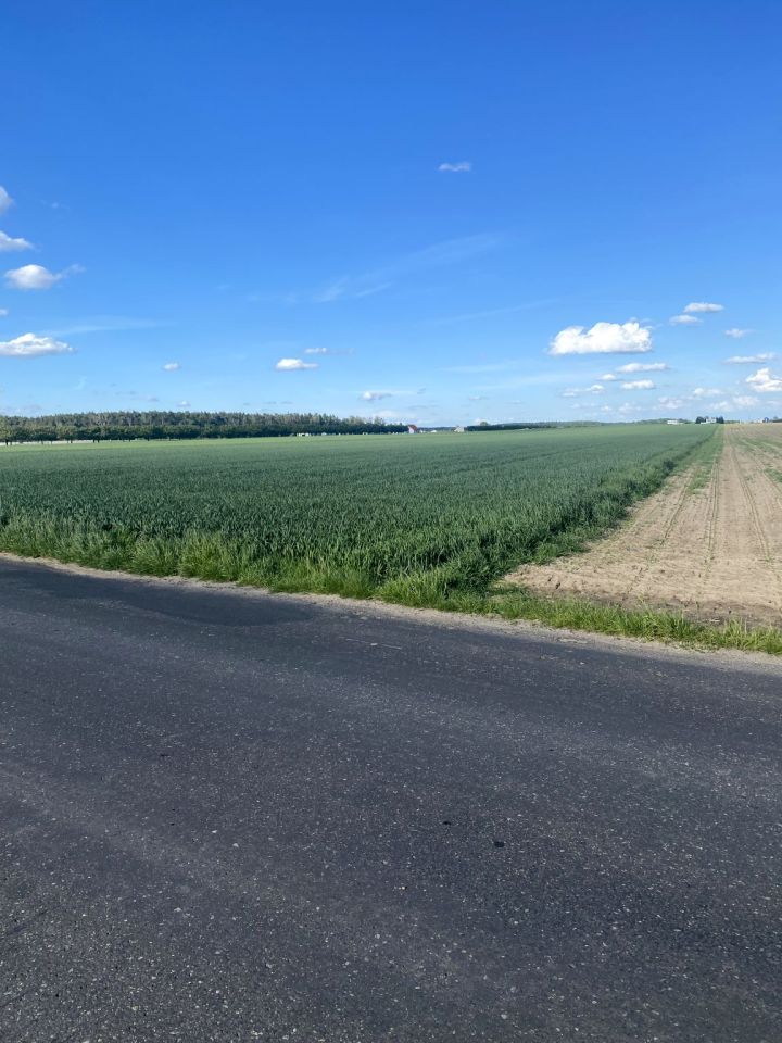 Działka rolna Konarskie. Zdjęcie 2