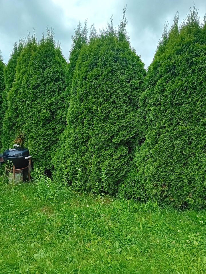 Mieszkanie 2-pokojowe Bałowo. Zdjęcie 10