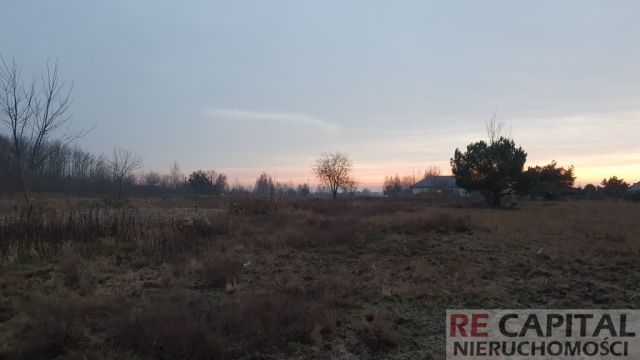 Działka siedliskowa Borzęcin Duży. Zdjęcie 4