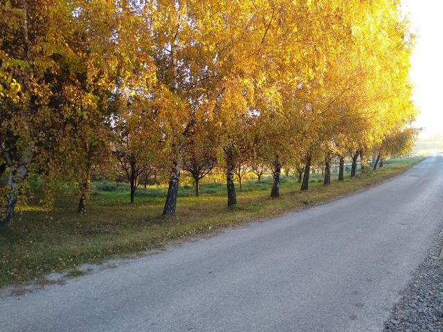 Działka budowlana Żerkowice, ul. Pod Sosną