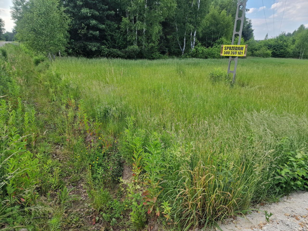 Działka budowlana Rudnik Wielki, ul. Gajowa. Zdjęcie 6