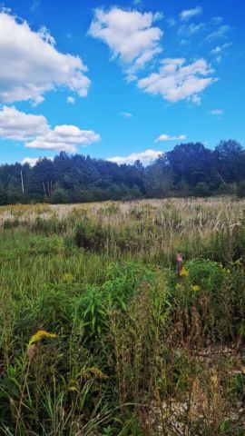 Działka Potępa, ul. Tarnogórska. Zdjęcie 2