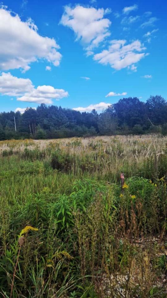 Działka Potępa, ul. Tarnogórska. Zdjęcie 2