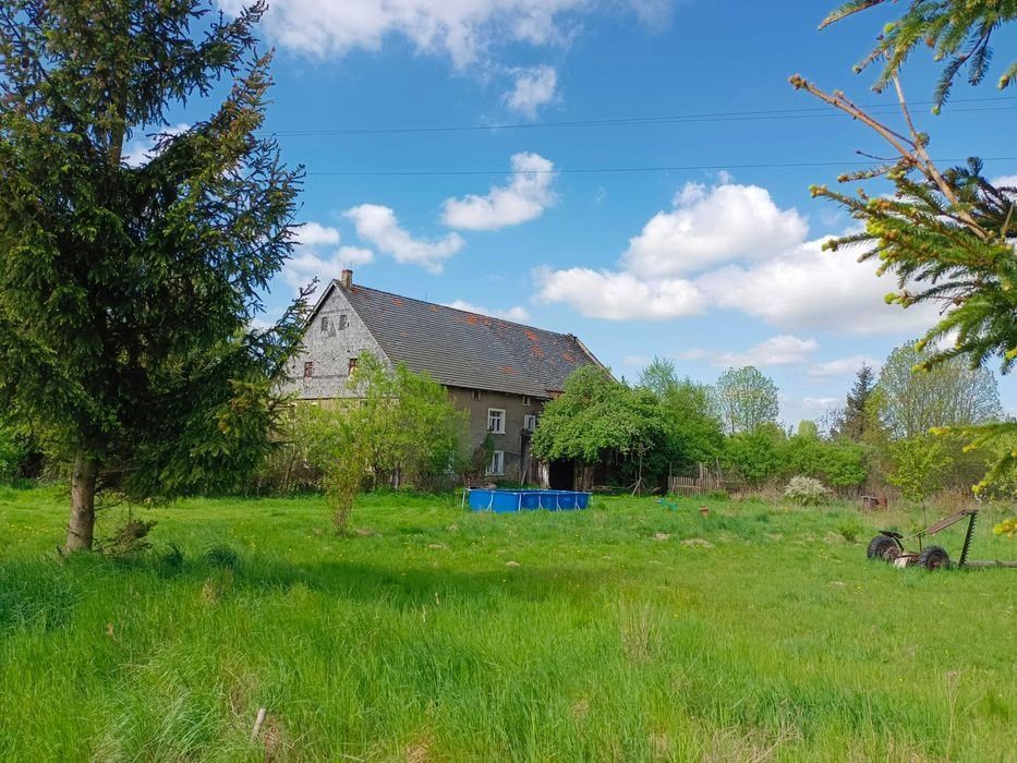 Działka siedliskowa Mlądz. Zdjęcie 3