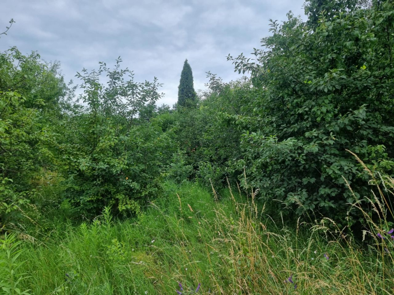 Działka rekreacyjna Piechcin. Zdjęcie 17