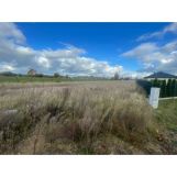 Działka rolno-budowlana Drążdżewo. Zdjęcie 2