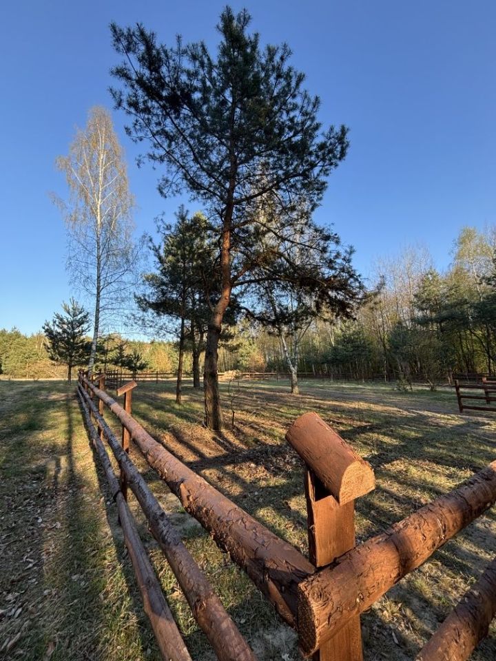 Działka rekreacyjna Chorzeszów. Zdjęcie 3