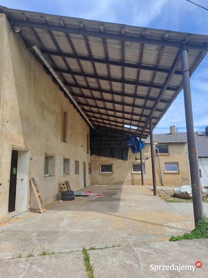 Hala/magazyn Józefów. Zdjęcie 5